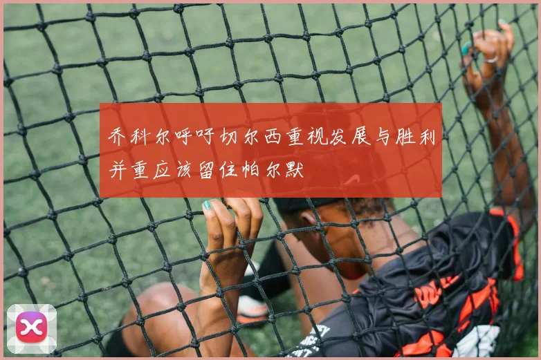 乔科尔呼吁切尔西重视发展与胜利并重应该留住帕尔默