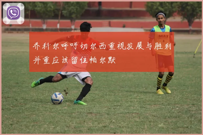 乔科尔呼吁切尔西重视发展与胜利并重应该留住帕尔默