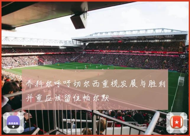 乔科尔呼吁切尔西重视发展与胜利并重应该留住帕尔默