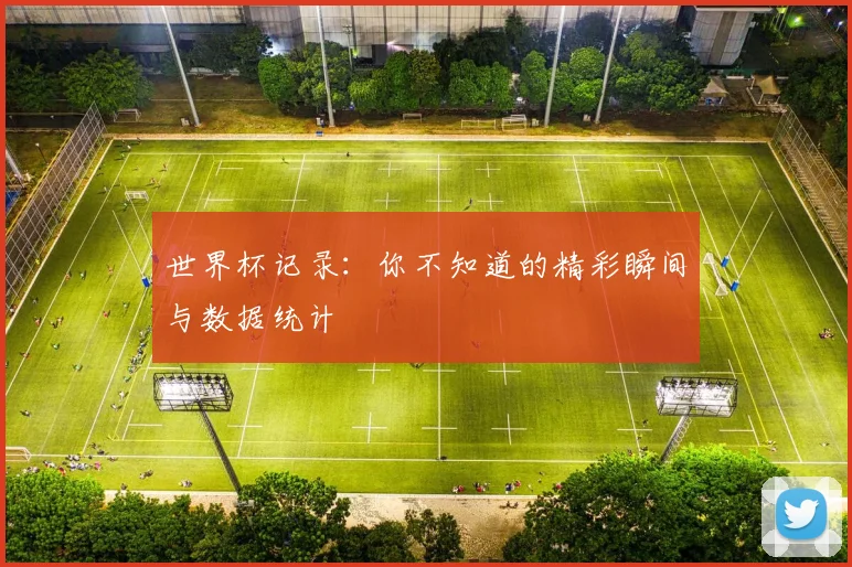 世界杯记录：你不知道的精彩瞬间与数据统计