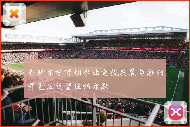 乔科尔呼吁切尔西重视发展与胜利并重应该留住帕尔默