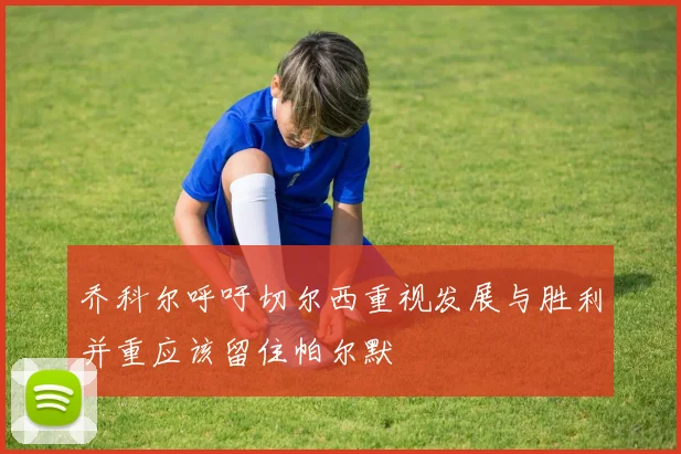 乔科尔呼吁切尔西重视发展与胜利并重应该留住帕尔默