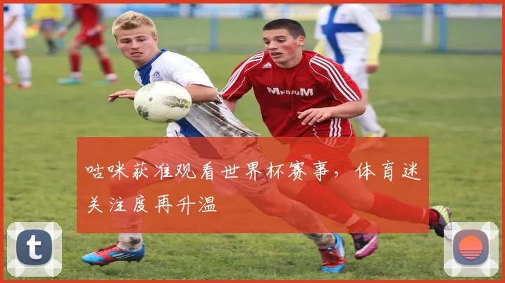 咕咪获准观看世界杯赛事，体育迷关注度再升温