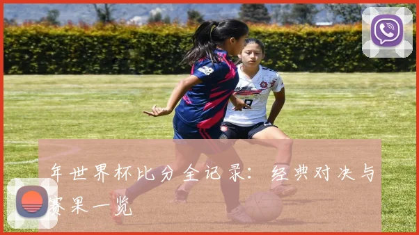 年世界杯比分全记录：经典对决与赛果一览