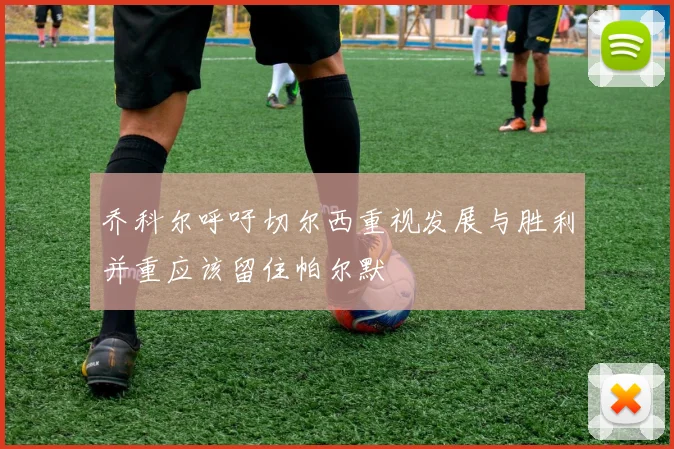 乔科尔呼吁切尔西重视发展与胜利并重应该留住帕尔默