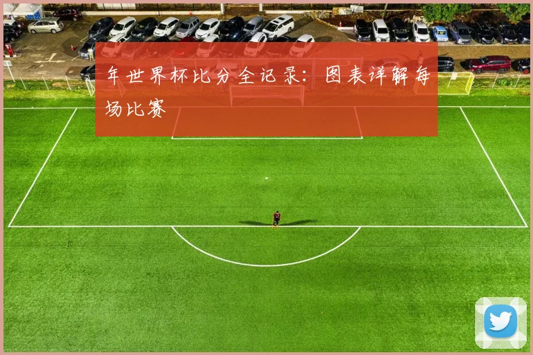 年世界杯比分全记录：图表详解每场比赛