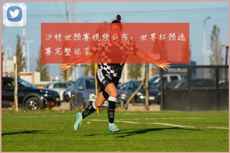 沙特世预赛视频公布，世界杯预选赛完整记录
