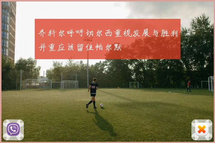 乔科尔呼吁切尔西重视发展与胜利并重应该留住帕尔默