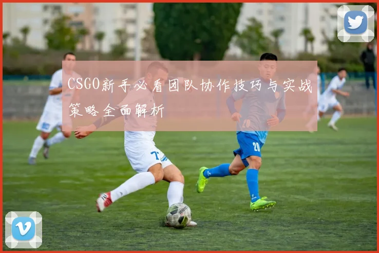 CSGO新手必看团队协作技巧与实战策略全面解析
