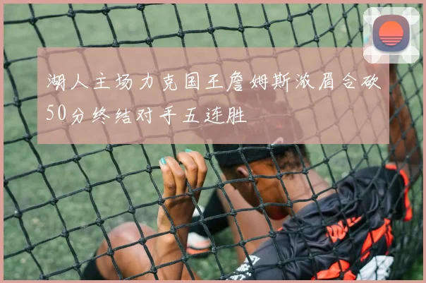 湖人主场力克国王詹姆斯浓眉合砍50分终结对手五连胜