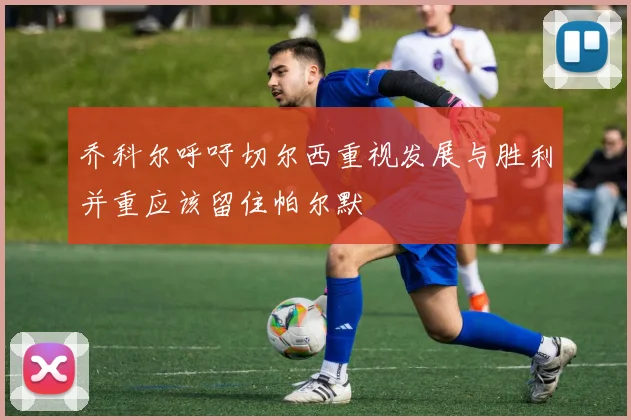 乔科尔呼吁切尔西重视发展与胜利并重应该留住帕尔默