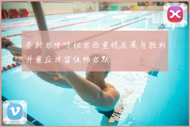 乔科尔呼吁切尔西重视发展与胜利并重应该留住帕尔默