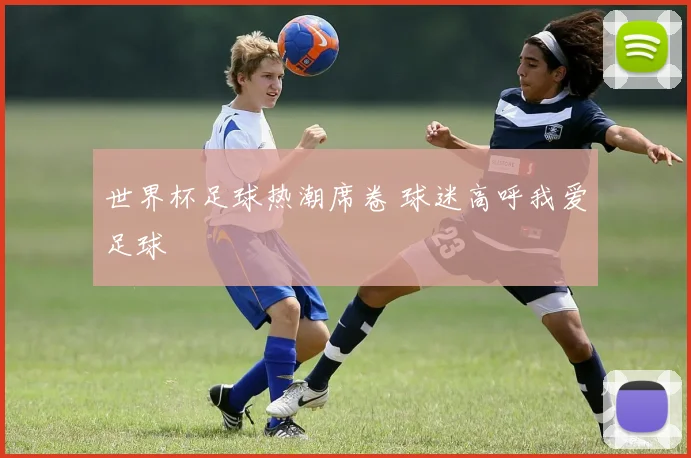 世界杯足球热潮席卷 球迷高呼我爱足球