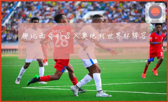 柳比西奇补召入奥地利世界杯阵容