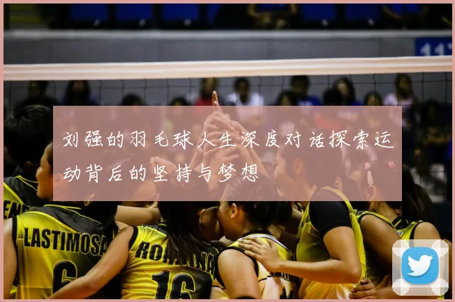 刘强的羽毛球人生深度对话探索运动背后的坚持与梦想