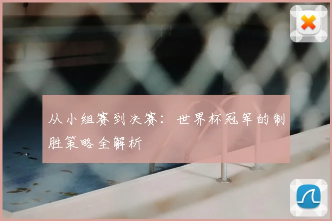 从小组赛到决赛：世界杯冠军的制胜策略全解析