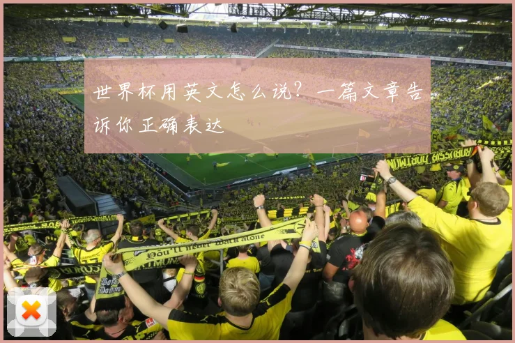 世界杯用英文怎么说？一篇文章告诉你正确表达