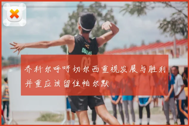 乔科尔呼吁切尔西重视发展与胜利并重应该留住帕尔默