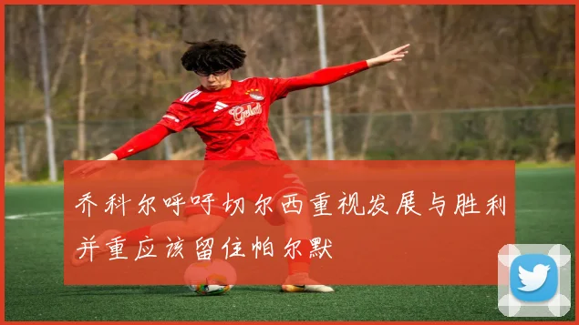 乔科尔呼吁切尔西重视发展与胜利并重应该留住帕尔默