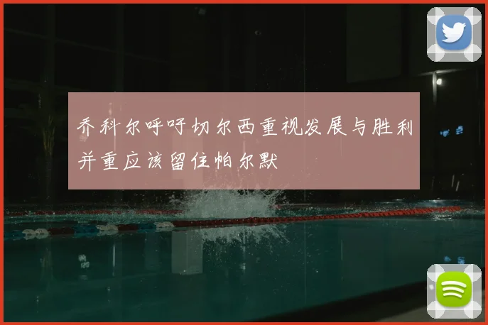 乔科尔呼吁切尔西重视发展与胜利并重应该留住帕尔默